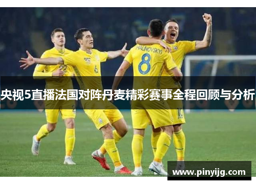 央视5直播法国对阵丹麦精彩赛事全程回顾与分析